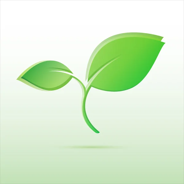 Ilustração verde do vetor da folha brilhante isolada —  Vetores de Stock
