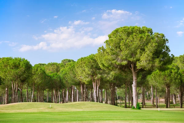 Campo de golfe — Fotografia de Stock