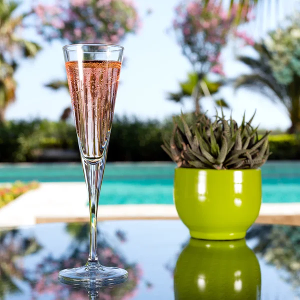 Glas champagne. — Stockfoto