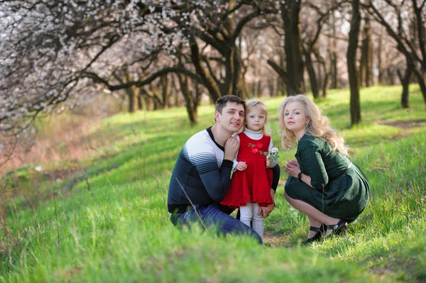 Семья гуляет в весеннем саду, мать, отец и маленькая дочь — стоковое фото