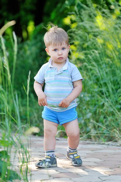 Little boy go for a walk in the park — Stock Photo, Image