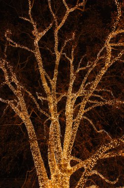 Noel pazarında ağaçlarda çelenk süslemesi