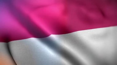 Uluslararası Endonezya bayrağı. Endonezya bayrağı dikişsiz yakın plan el sallama animasyonu. Bilgisayar tarafından üretilen Endonezya bayrağı. Rüzgarda dalgalanan kumaş desenli bayrağın 3D animasyonu.