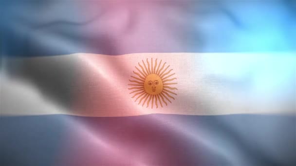 International Flag Argentina Spain Flag Seamless Closeup Waving Animation Computer — Stock Video