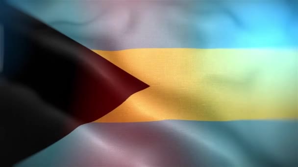 Międzynarodowa Flaga Bahamów Bahamy Flaga Płynne Zbliżenie Machając Animacją Komputer — Wideo stockowe