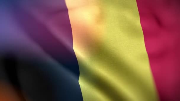 Mezinárodní Vlajka Belgie Belgie Vlajka Bezproblémové Detailní Vlnění Animace Počítač — Stock video