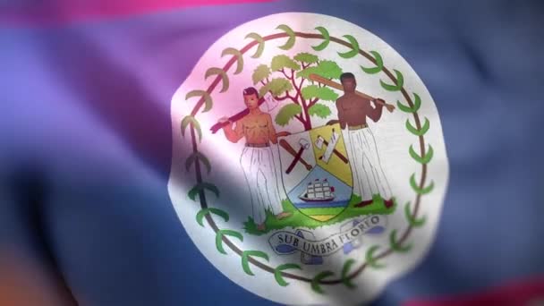 Internationale Flagge Von Belize Belize Flagge Nahtlose Nahaufnahme Winken Animation — Stockvideo