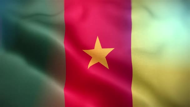 International Flag Cameroon Cameroon Flag Seamless Closeup Waving Animation Computer — Stock Video