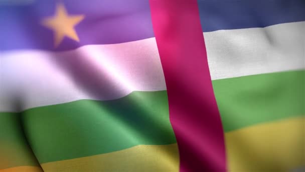 Orta Afrika Cumhuriyeti Nin Uluslararası Bayrağı Orta Afrika Cumhuriyetçi Bayrağı — Stok video