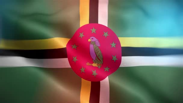 Bandeira Internacional Dominica Dominica Bandeira Sem Costura Closeup Acenando Animação — Vídeo de Stock