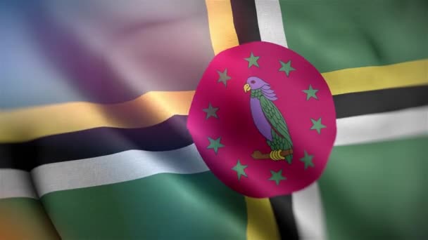 Bandera Internacional Dominica Dominica Bandera Inconsútil Primer Plano Ondeando Animación — Vídeo de stock