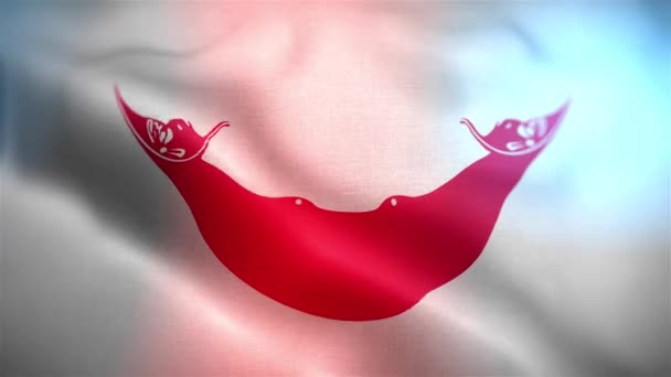 复活节拉帕努伊岛的国旗 复活岛拉帕努旗无缝特写挥动动画 电脑生成的复活节岛拉帕努旗 织物纹理旗在风中飘扬的3D动画 — 图库视频影像