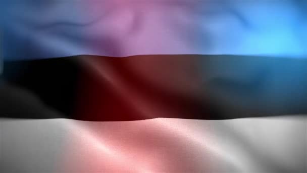 Flaga Międzynarodowa Estonii Estonia Flaga Płynne Zbliżenie Machanie Animacja Komputer — Wideo stockowe