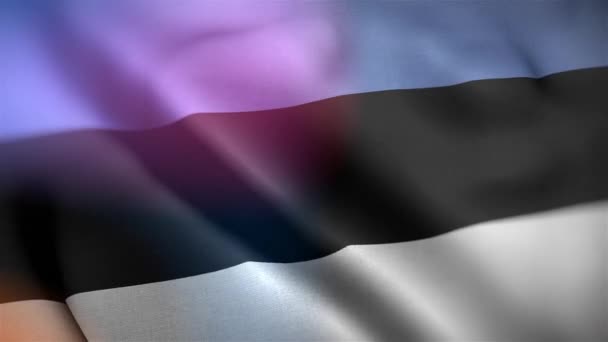 Bandera Internacional Estonia Estonia Flag Seamless Closeup Waving Animation Bandera — Vídeo de stock