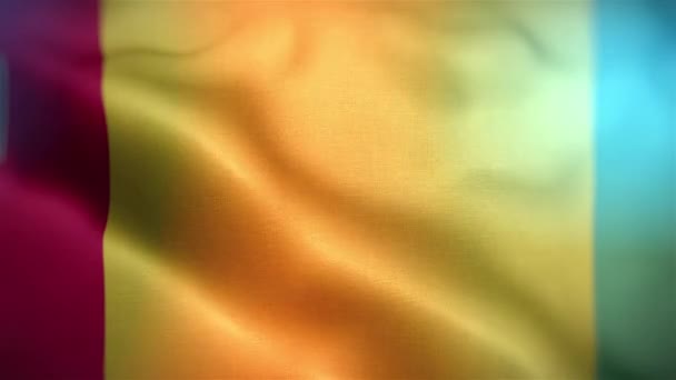 International Flag Guinea Guinea Flag Seamless Closeup Waving Animation Computer — Stock Video