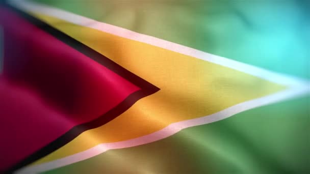 Mezinárodní Vlajka Guyany Guyana Vlajka Hladké Detailní Mávání Animace Počítač — Stock video