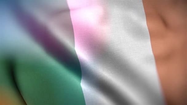 アイルランドの国際旗 アイルランドの旗はシームレスに手を振るアニメーション アイルランドの国旗を作成した 風に揺れる布の質感の旗の3Dアニメーション — ストック動画