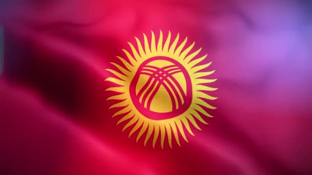 International Flag Kyrgyzstan Kyrgyzstan Flag Seamless Closeup Waving Animation Computer — Stock Video