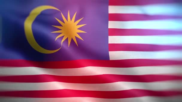 Internationale Flagge Malaysias Malaysia Flagge Nahtlose Nahaufnahme Winken Animation Computer — Stockvideo