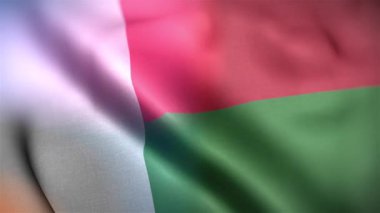 Madagaskar 'ın uluslararası bayrağı. Madagaskar bayrağı kusursuz yakın plan el sallama animasyonu. Bilgisayar Madagaskar bayrağı yaptı. Rüzgarda dalgalanan kumaş desenli bayrağın 3D animasyonu.