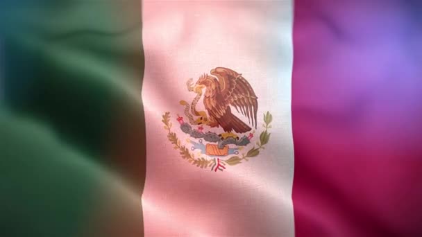 Międzynarodowa Flaga Meksyku Meksykańska Flaga Płynna Animacja Machająca Zbliżeniem Komputer — Wideo stockowe
