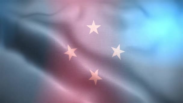 Mezinárodní Vlajka Federativních Států Mikronésie Micronesia Federated States Flag Seamless — Stock video