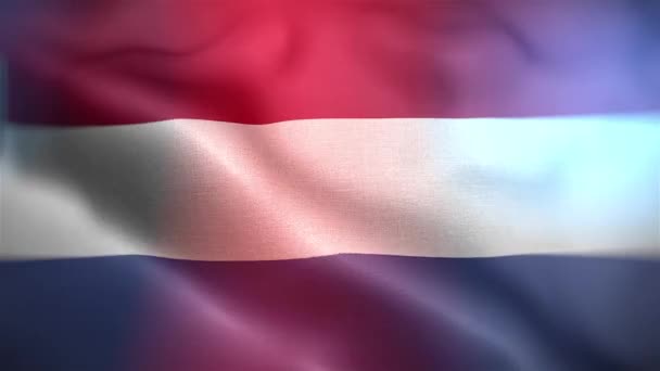 Internationale Vlag Van Nederland Nederlandse Vlag Naadloze Close Zwaaien Animatie — Stockvideo