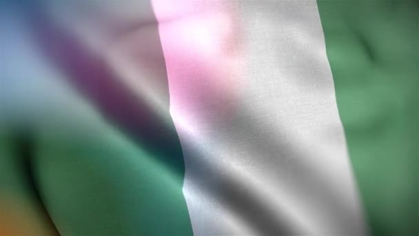 ナイジェリアの国際旗 ナイジェリアの国旗がシームレスに手を振るアニメーション ナイジェリアの国旗を作成した 風に揺れる布の質感の旗の3Dアニメーション — ストック動画