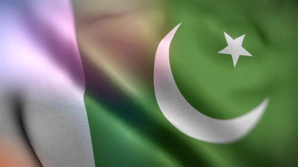 パキスタンの国際旗 パキスタンの旗をシームレスにクローズアップアニメーションを振って パキスタン国旗を作成 風に揺れる布の質感の旗の3Dアニメーション — ストック動画