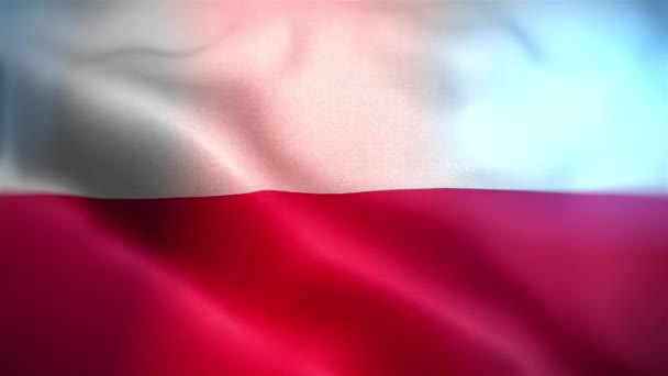 Міжнародний Прапор Польщі Польща Виставила Прапор Безшовну Бойову Готовність Розмахуючи — стокове відео