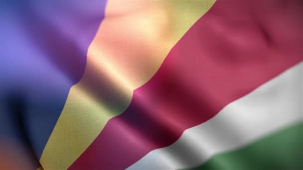 Bandiera Internazionale Delle Seychelles Seychelles Bandiera Senza Soluzione Continuità Primo — Video Stock