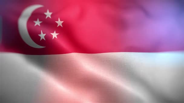 Flaga Międzynarodowa Singapuru Flaga Singapuru Płynna Animacja Machająca Zbliżeniem Komputer — Wideo stockowe