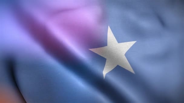 Internationale Flagge Somalias Nahtlose Nahaufnahmen Unter Somalischer Flagge Schwenken Animationen — Stockvideo