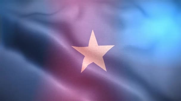 Internationale Vlag Van Somalië Somalië Vlag Naadloze Close Zwaaien Animatie — Stockvideo