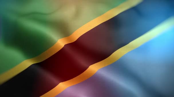 Internationale Vlag Van Tanzania Tanzania Vlag Naadloze Close Zwaaien Animatie — Stockvideo