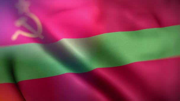 Uluslararası Transnistria Bayrağı Transnistria Bayrağı Kusursuz Yakın Plan Sallama Animasyonu — Stok video