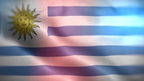 Bandera Internacional Uruguay Uruguay Bandera Inconsútil Primer Plano Ondeando Animación — Vídeo de stock