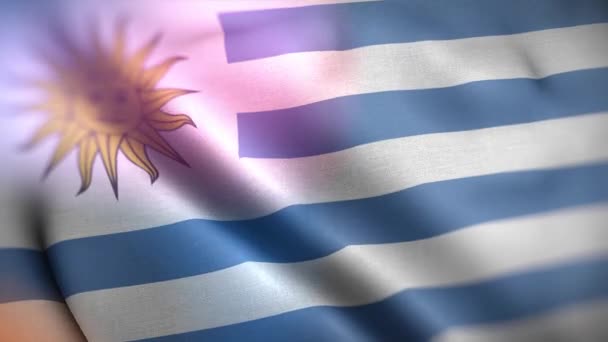 Flaga Międzynarodowa Urugwaju Urugwajska Flaga Płynna Animacja Machająca Zbliżeniem Komputer — Wideo stockowe