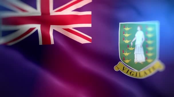 Bandeira Internacional Das Ilhas Virgens Britânicas Ilhas Virgens Reino Unido — Vídeo de Stock