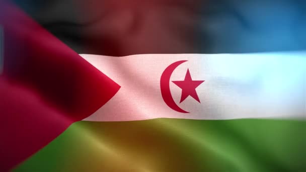 Διεθνής Σημαία Της Δυτικής Σαχάρας Δυτική Σαχάρα Σημαία Απρόσκοπτη Closeup — Αρχείο Βίντεο