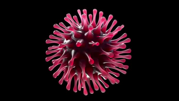 Microscope View Virtual Representação Animada Coronavírus Covid Coronavirus 2019 Sars — Vídeo de Stock