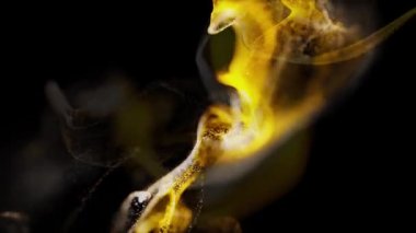 Suyun altında dumanlı boya mürekkebi karışımı. Mürekkebin suya yayılmasının soyut bir arkaplanı. Kraliyet ve lüks suyun içinde mürekkep karışımı gibi. Akışkan hareket çok renkli ve renkli. Parlak ve canlı renk