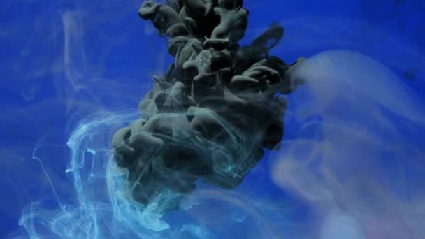 Tinta Tinta Fumegante Misturada Debaixo Água Contexto Abstrato Tinta Espalhando — Vídeo de Stock