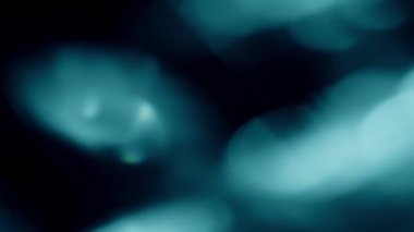 Soyut çok renkli yumuşak ışık bokeh arkaplanı. Doğal ve organik gece lambası arka plan örtüsü. Işık sızıntıları bokeh arkaplanı örtüyor. Gerçek ve organik kamera mercekleri görüntü sızdırıyor.