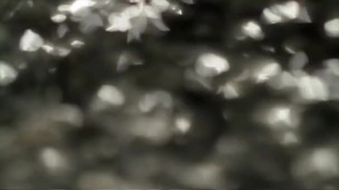 Su yüzeyindeki ışık yansıması, arka plandaki yumuşak ışığı yok etti. Bokeh güneşi su yüzeyine yansıyor. Güneş ışınları su akıntısında titreşiyor..