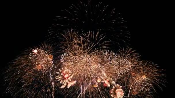 明るくカラフルな花火の背景オーバーレイ 花火ショーを輝く 大晦日の花火のお祝い 夜空に映る本物のカラフルな花火大会の長い時間シームレスなループ — ストック動画