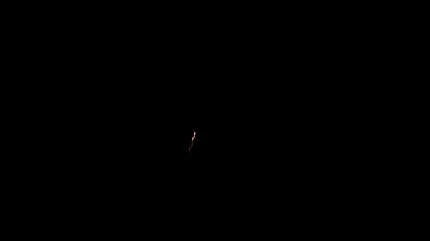 明るくカラフルな花火の背景オーバーレイ 花火ショーを輝く 大晦日の花火のお祝い 夜空に映る本物のカラフルな花火大会の長い時間シームレスなループ — ストック動画