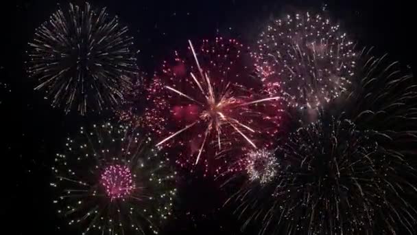 Superposición Fondo Fuegos Artificiales Brillantes Coloridos Espectáculo Fuegos Artificiales Brillantes — Vídeo de stock