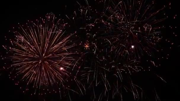 明るくカラフルな花火の背景オーバーレイ 花火ショーを輝く 大晦日の花火のお祝い 長い時間シームレスなループ — ストック動画