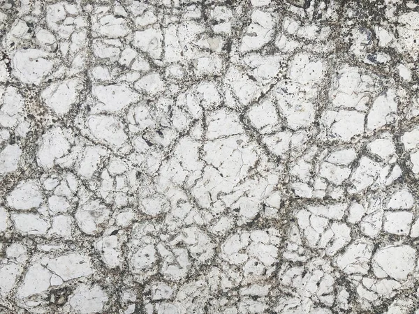 Cracked Ground Texture Cracked Ground Surface Dry Season Ground Drought — Stock Fotó